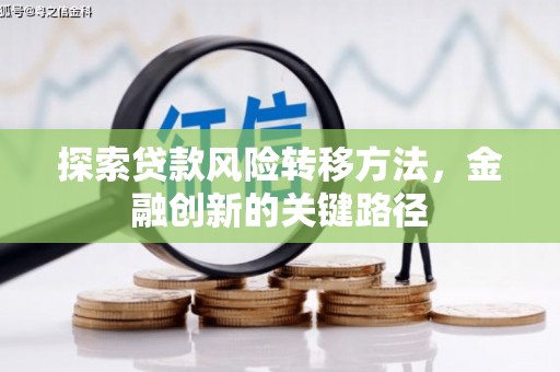 雨山探索贷款风险转移方法，金融创新的关键路径