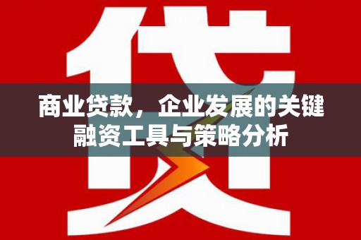 雨山商业贷款，企业发展的关键融资工具与策略分析