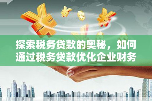 雨山探索税务贷款的奥秘，如何通过税务贷款优化企业财务