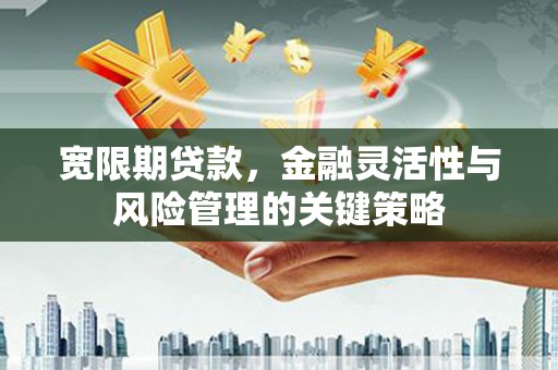 雨山宽限期贷款，金融灵活性与风险管理的关键策略