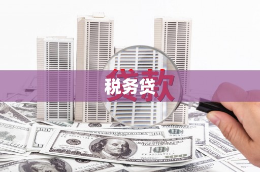 雨山税务贷