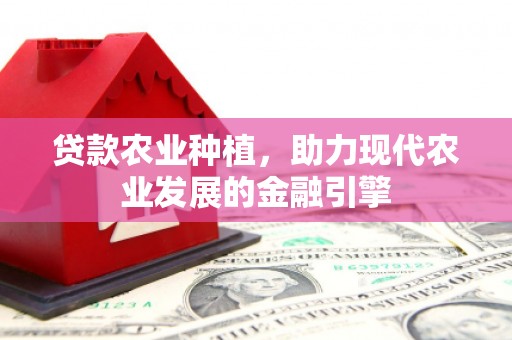雨山贷款农业种植，助力现代农业发展的金融引擎