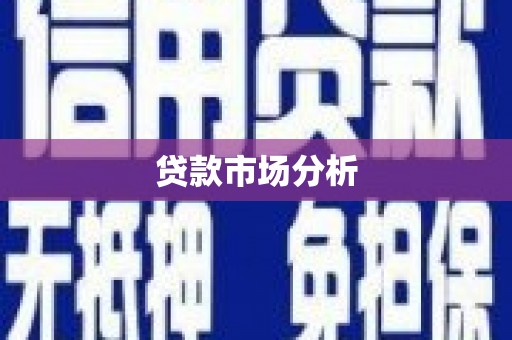 雨山贷款市场分析