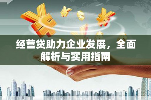 雨山经营贷助力企业发展，全面解析与实用指南