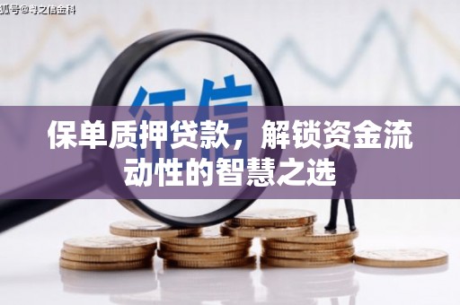 雨山保单质押贷款，解锁资金流动性的智慧之选