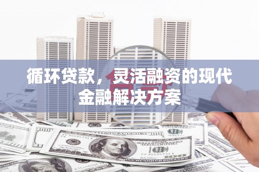 雨山循环贷款，灵活融资的现代金融解决方案