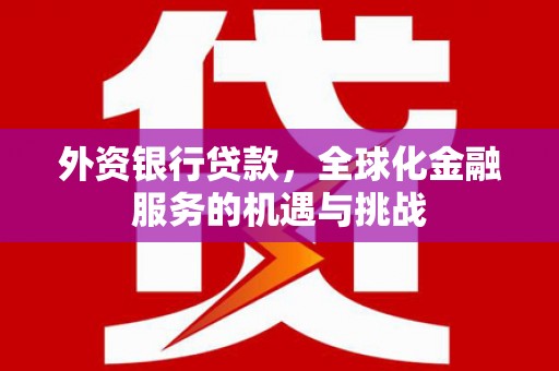 雨山外资银行贷款，全球化金融服务的机遇与挑战