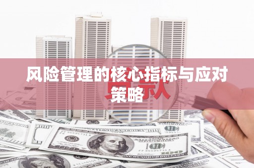 雨山风险管理的核心指标与应对策略