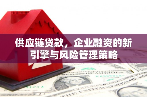 雨山供应链贷款，企业融资的新引擎与风险管理策略