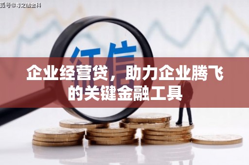 雨山企业经营贷，助力企业腾飞的关键金融工具