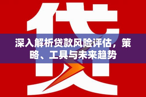 雨山深入解析贷款风险评估，策略、工具与未来趋势