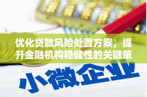 雨山优化贷款风险处置方案，提升金融机构稳健性的关键策略