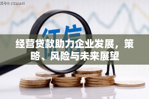 雨山经营贷款助力企业发展，策略、风险与未来展望
