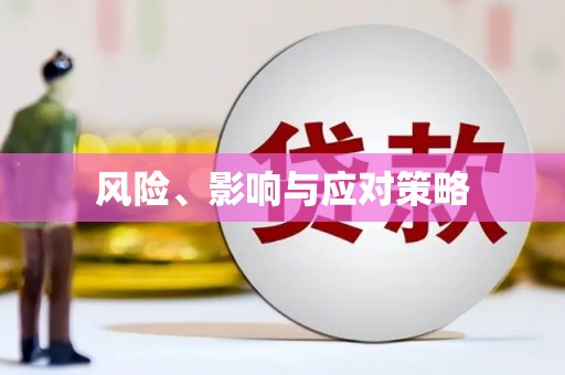 雨山风险、影响与应对策略