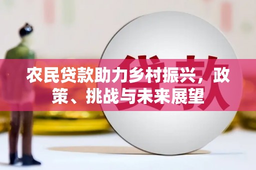 雨山农民贷款助力乡村振兴，政策、挑战与未来展望
