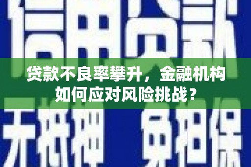 雨山贷款不良率攀升，金融机构如何应对风险挑战？