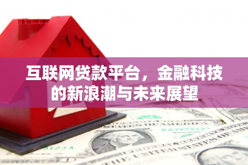 雨山互联网贷款平台，金融科技的新浪潮与未来展望