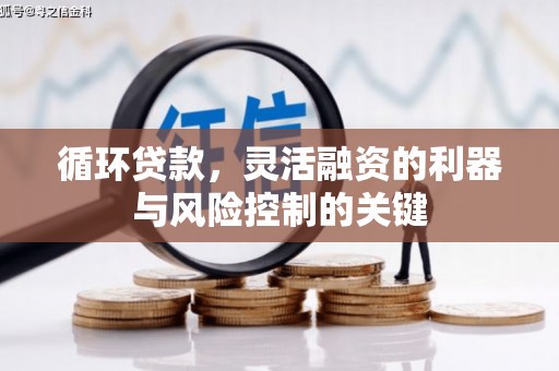 雨山循环贷款，灵活融资的利器与风险控制的关键