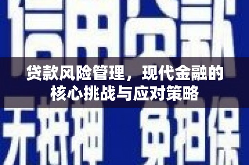 雨山贷款风险管理，现代金融的核心挑战与应对策略