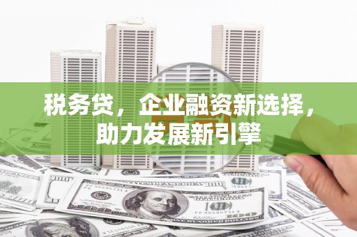 雨山税务贷，企业融资新选择，助力发展新引擎