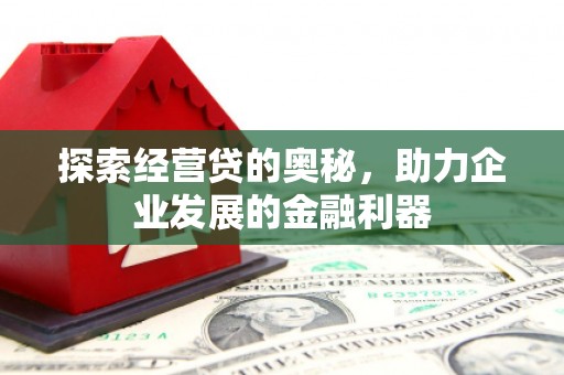 雨山探索经营贷的奥秘，助力企业发展的金融利器