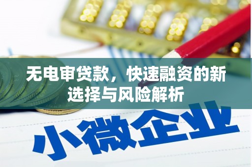 雨山无电审贷款，快速融资的新选择与风险解析