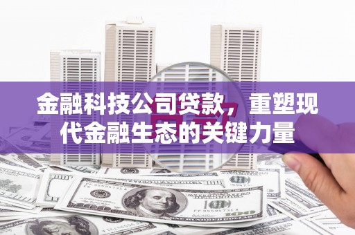 雨山金融科技公司贷款，重塑现代金融生态的关键力量