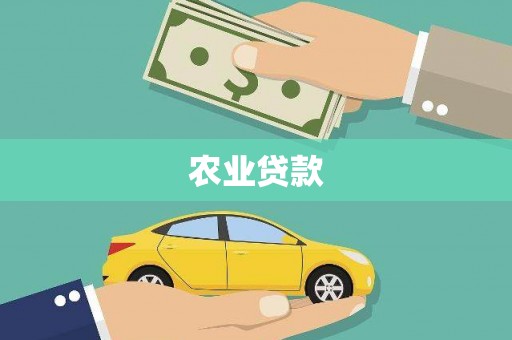 雨山农业贷款