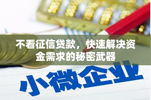 雨山不看征信贷款，快速解决资金需求的秘密武器