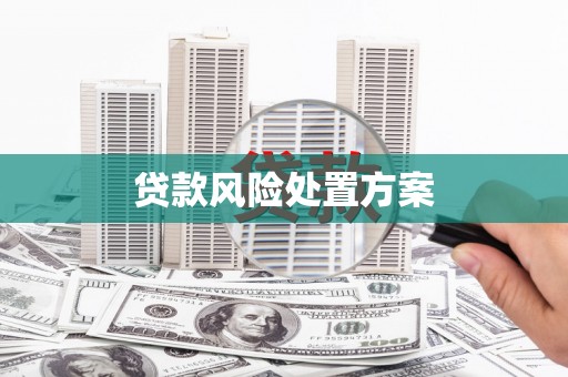 雨山贷款风险处置方案