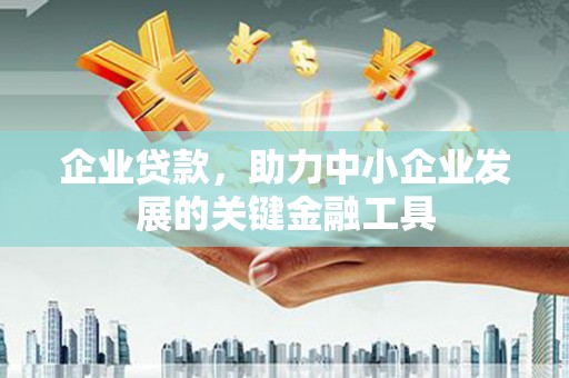 雨山企业贷款，助力中小企业发展的关键金融工具