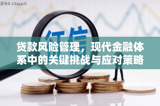 雨山贷款风险管理，现代金融体系中的关键挑战与应对策略