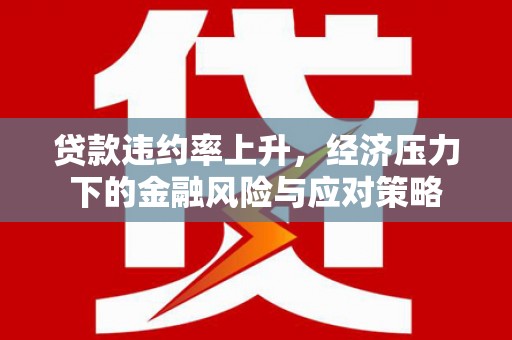 雨山贷款违约率上升，经济压力下的金融风险与应对策略