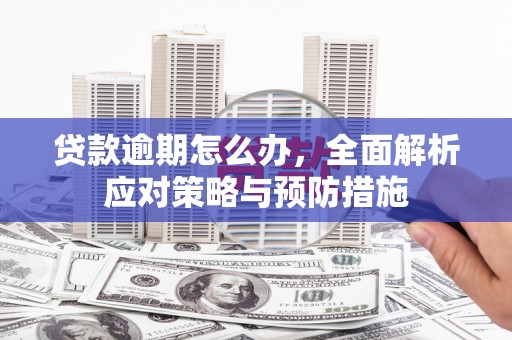 雨山贷款逾期怎么办，全面解析应对策略与预防措施