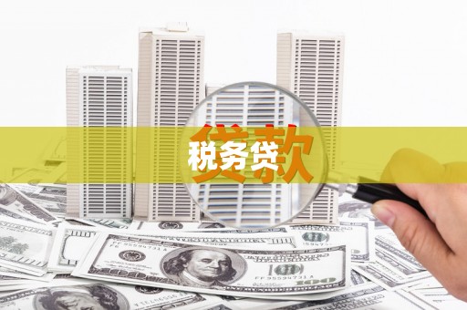 雨山税务贷
