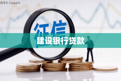 雨山建设银行贷款