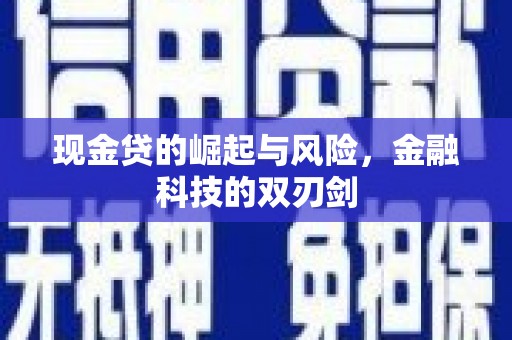 雨山现金贷的崛起与风险，金融科技的双刃剑