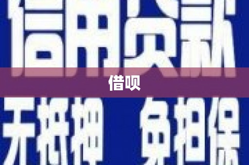 雨山借呗