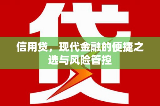 雨山信用贷，现代金融的便捷之选与风险管控