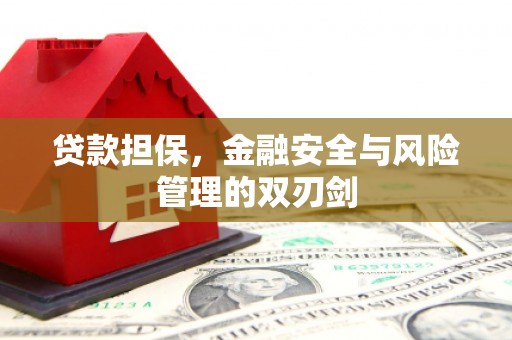 雨山贷款担保，金融安全与风险管理的双刃剑
