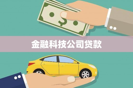 雨山金融科技公司贷款