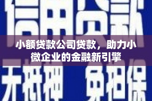 雨山小额贷款公司贷款，助力小微企业的金融新引擎