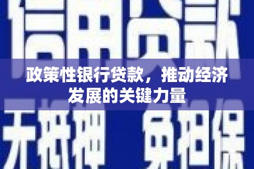 雨山政策性银行贷款，推动经济发展的关键力量