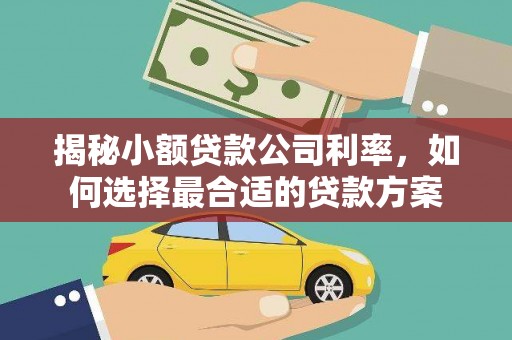 雨山揭秘小额贷款公司利率，如何选择最合适的贷款方案