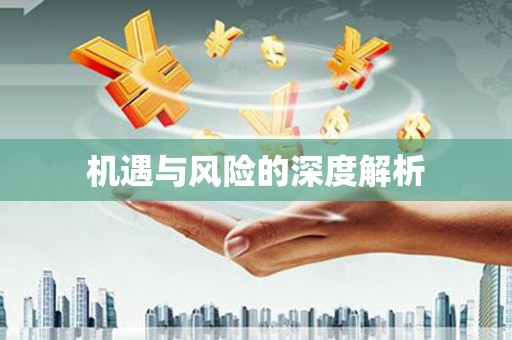 雨山机遇与风险的深度解析