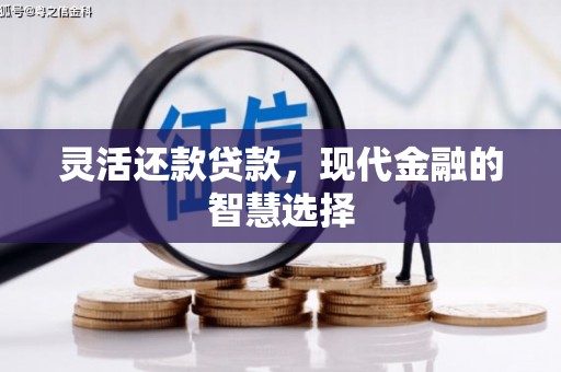 雨山灵活还款贷款，现代金融的智慧选择