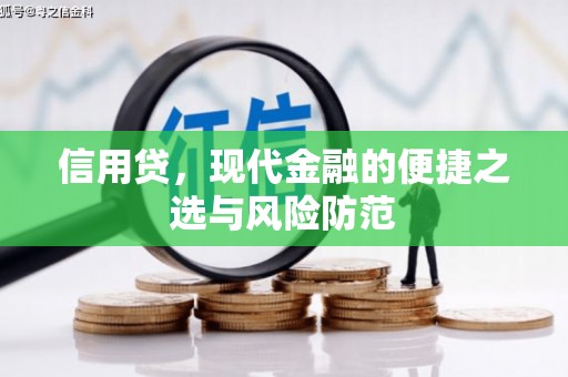 雨山信用贷，现代金融的便捷之选与风险防范