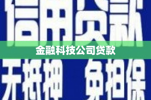 雨山金融科技公司贷款