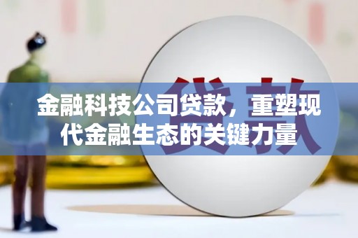 雨山金融科技公司贷款，重塑现代金融生态的关键力量