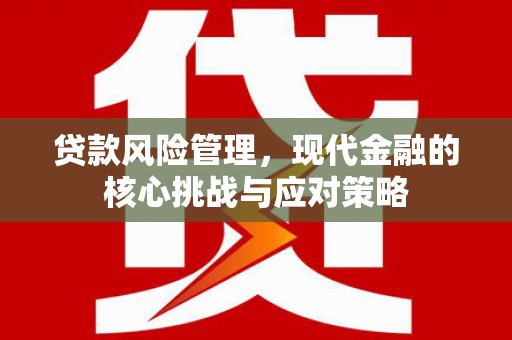 雨山贷款风险管理，现代金融的核心挑战与应对策略